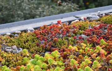 the cost of Mossbay green roof installation